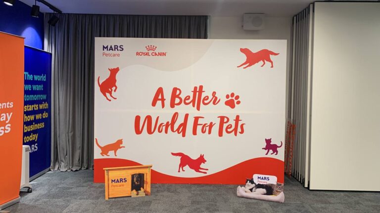 Промо конструкции в Алматы